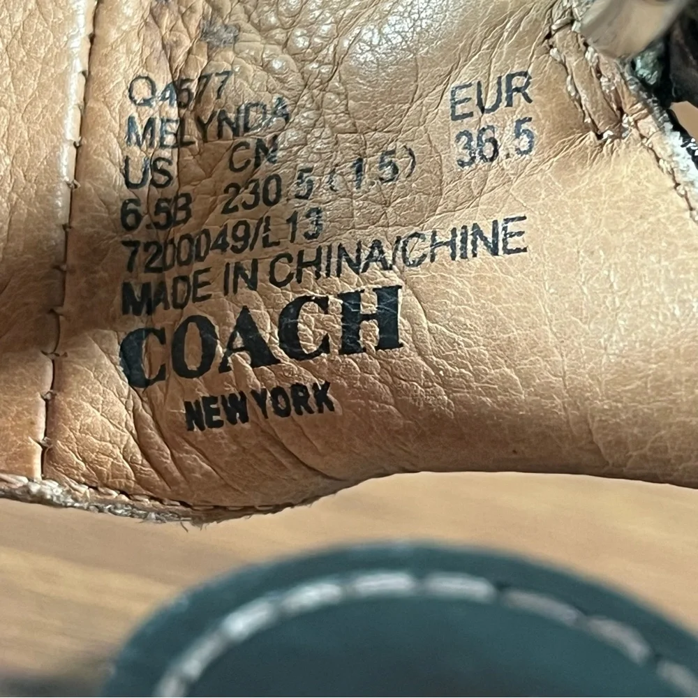 Coach ships within